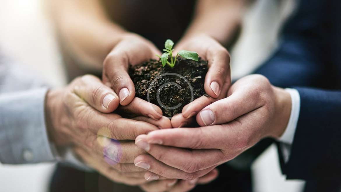 Growing Business as a Team Img Cryptocurrency 1 Copyright 1170x658
