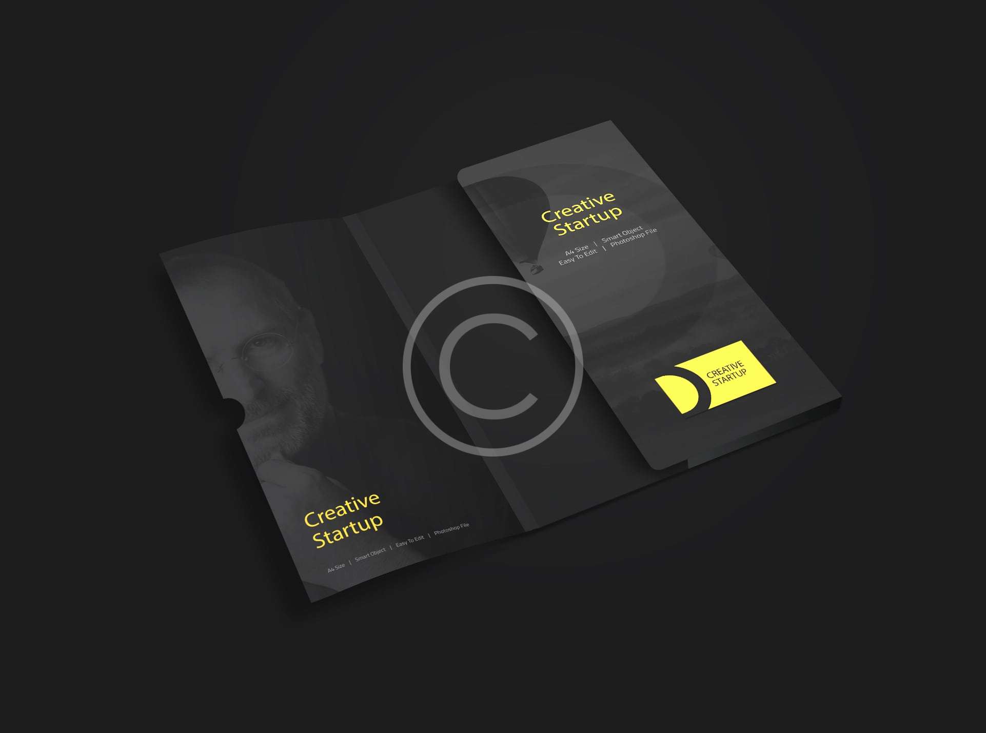 Startup Img 13 Copyright