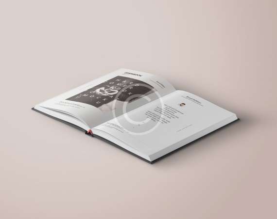 Startup Img 4 Copyright 570x452