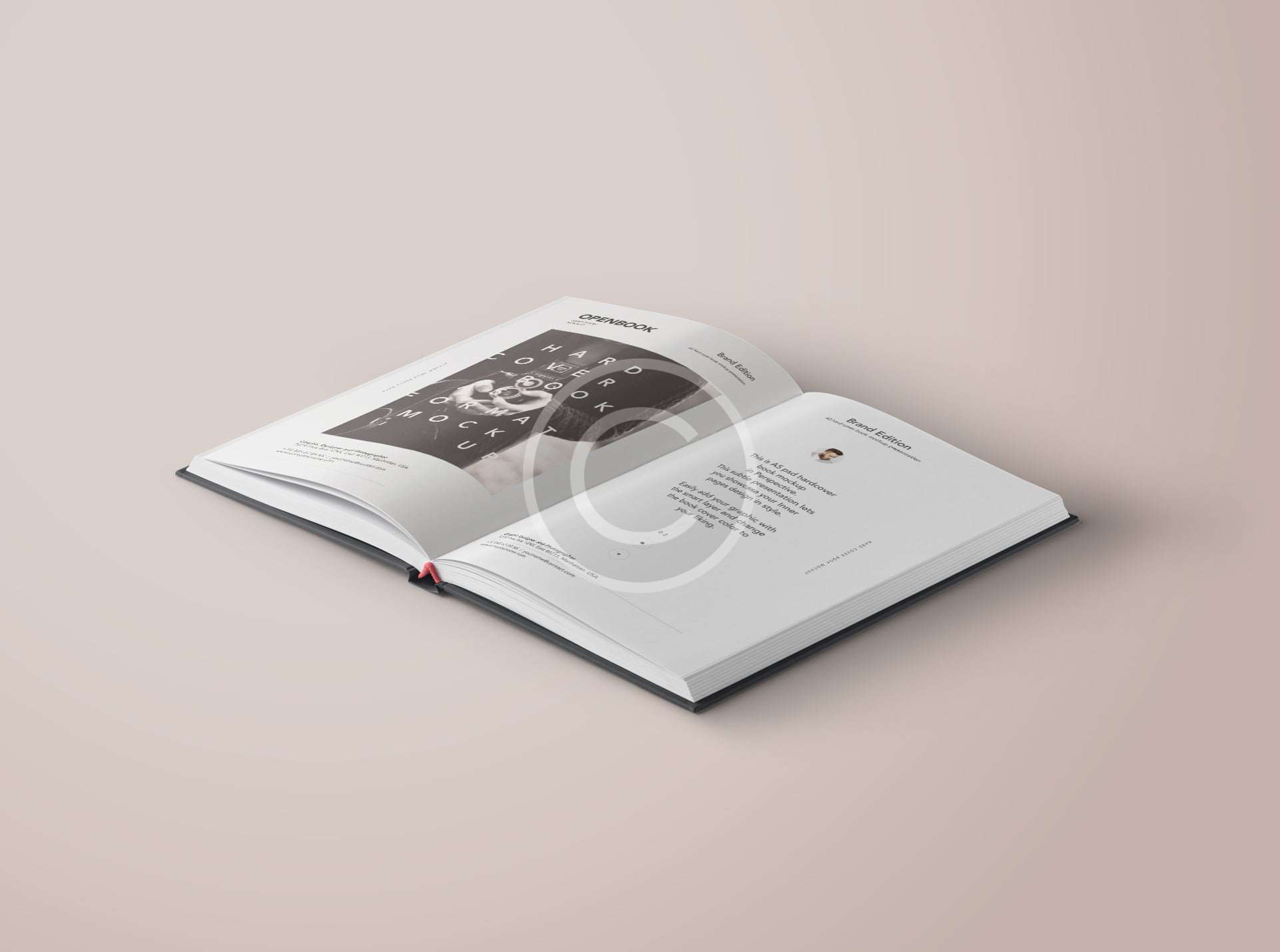 Startup Img 4 Copyright