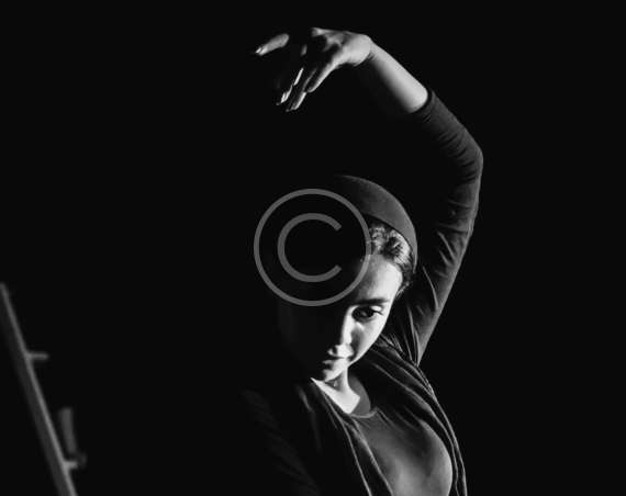 Black Section2 1 Copyright 570x452