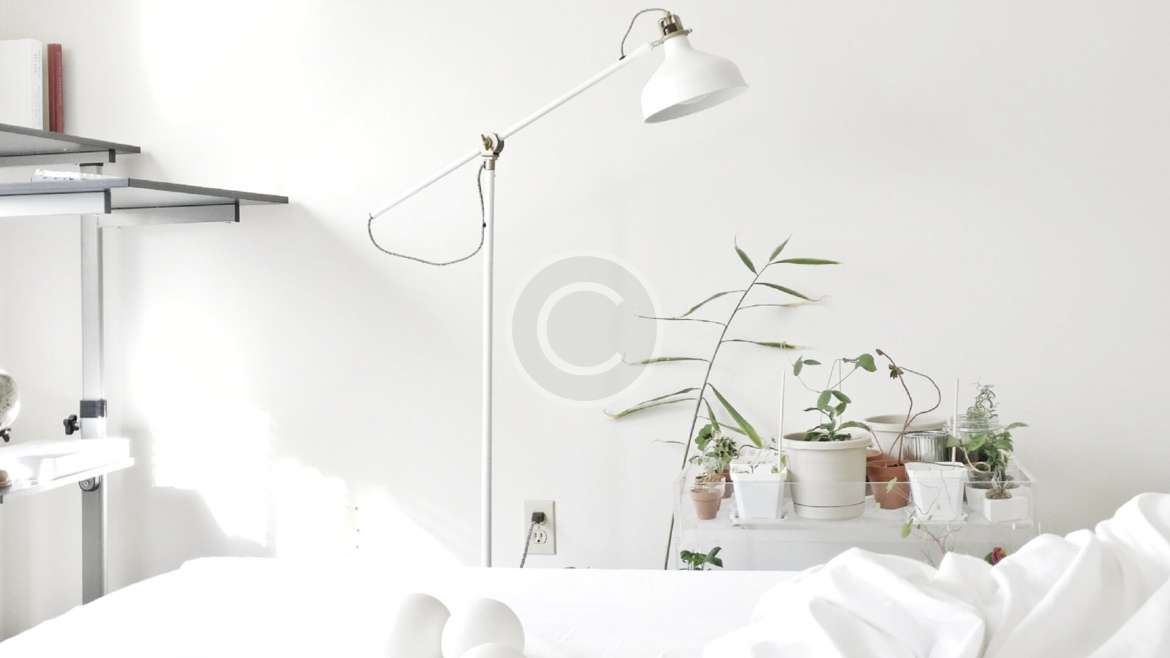 Black Section2 2 Copyright 1170x658