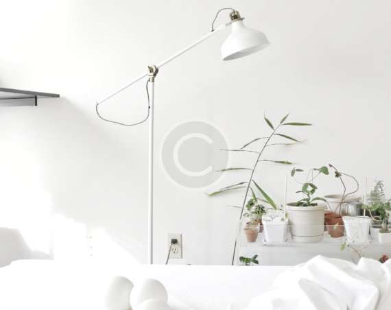 Black Section2 2 Copyright 570x452