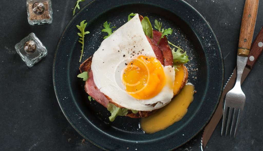 Food Section 1 3 Copyright 1024x590